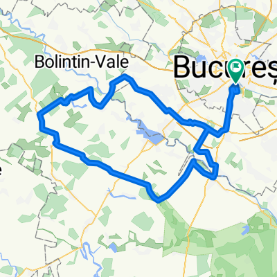 Bucuresti - Alunisu - Domnesti - Darvari - Gradinari - Ogrezeni - Podisor - Clejani - Stalpu - Singureni - Adunatii-Copaceni - 1 Decembrie - Bucuresti