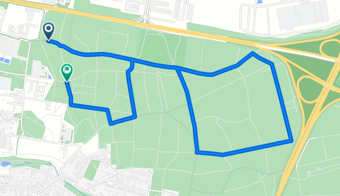 Zielona Góra Tętni Dobrem