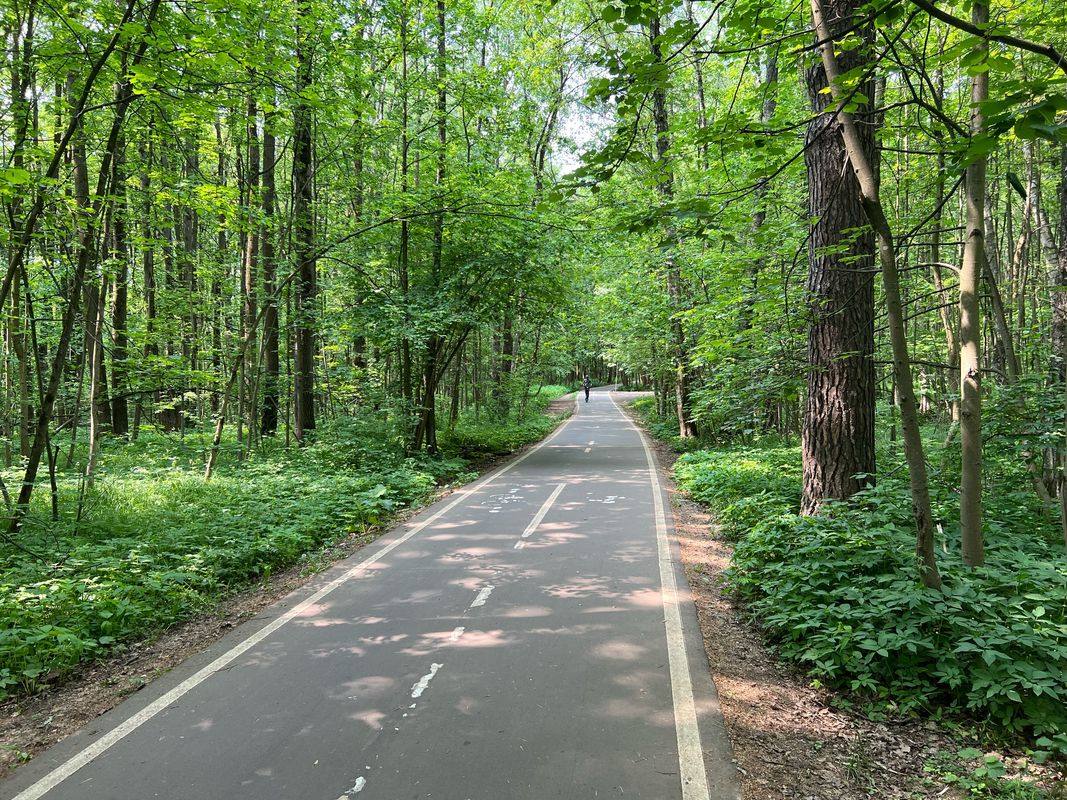 Зелёное Кольцо слева