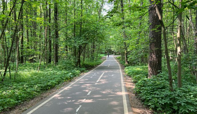 Photo 1 of the Bikemap route "Зелёное Кольцо слева"
