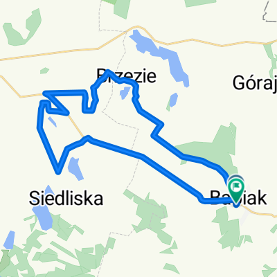 pl Wolności, Babiak do Zielona, Babiak