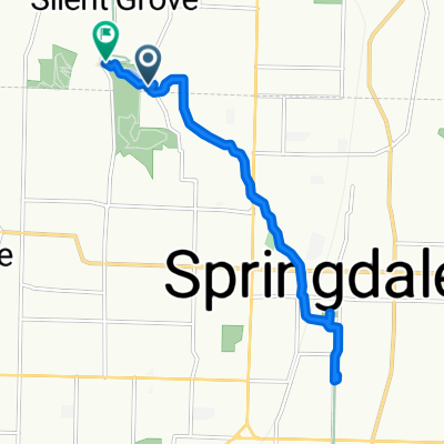 Springdale to Silent Grove Rd, Springdale
