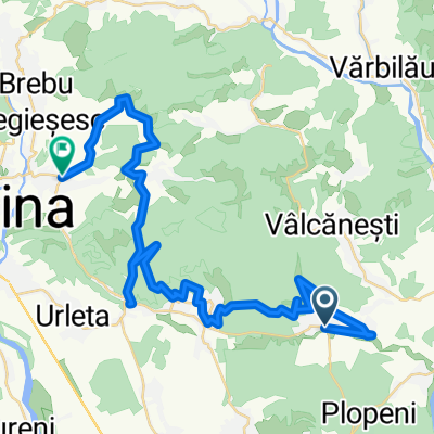 Drumul Stejarului #8