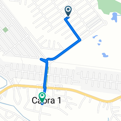 ruta 507