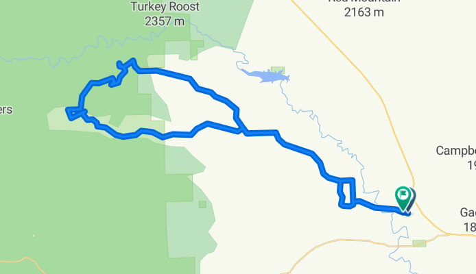 Foco Fondo Quadruple Dog Dare Your Route