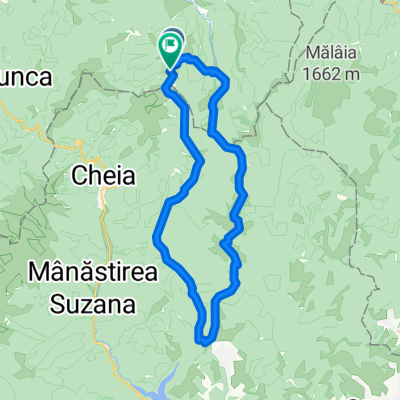 Circuit Cabana Pirusca