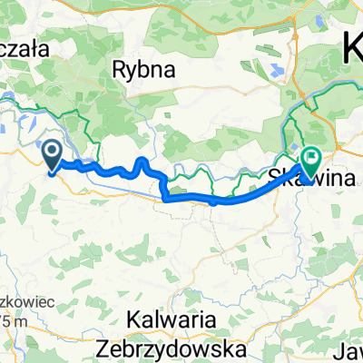 skawina