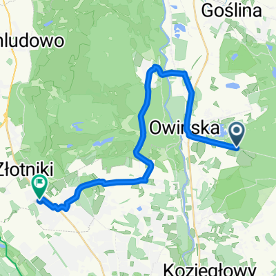 Owińska to Opieńkowa, Złotniki