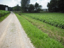 Point fort 26 sur l’itinéraire Bikemap « Fünf-Flüsse-Radweg  »