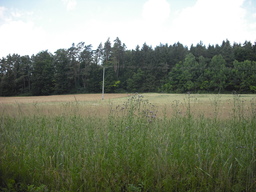 Point fort 27 sur l’itinéraire Bikemap « Fünf-Flüsse-Radweg  »