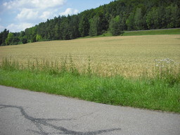 Point fort 34 sur l’itinéraire Bikemap « Fünf-Flüsse-Radweg  »