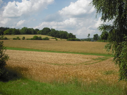 Point fort 17 sur l’itinéraire Bikemap « Fünf-Flüsse-Radweg  »