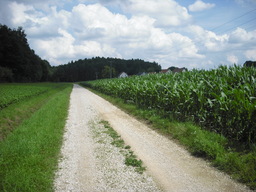 Point fort 25 sur l’itinéraire Bikemap « Fünf-Flüsse-Radweg  »
