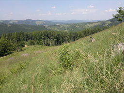 Highlight 5 along the Bikemap route "Kameň - Lednica" Highlight 5 along the Bikemap route "Kameň - Lednica"