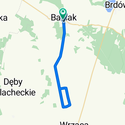 Zielona, Babiak do Zielona, Babiak