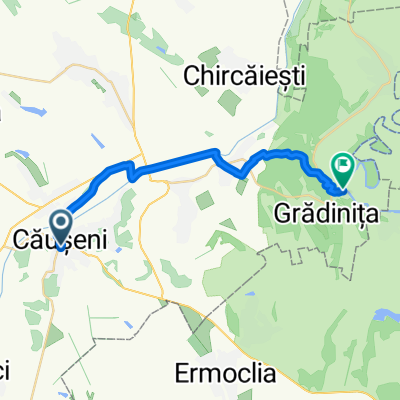 nustru