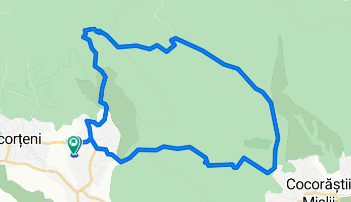 MTB Bordeni Foisor, Uleea, Ținutul Stejarior 15km