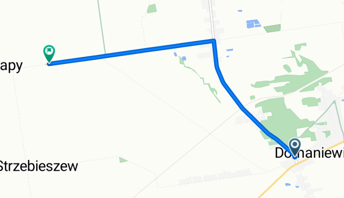 Główna, Domaniewice do Sapy, Domaniewice