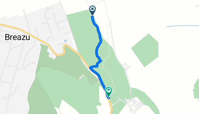 Urcare alternativa Ravena Breazu