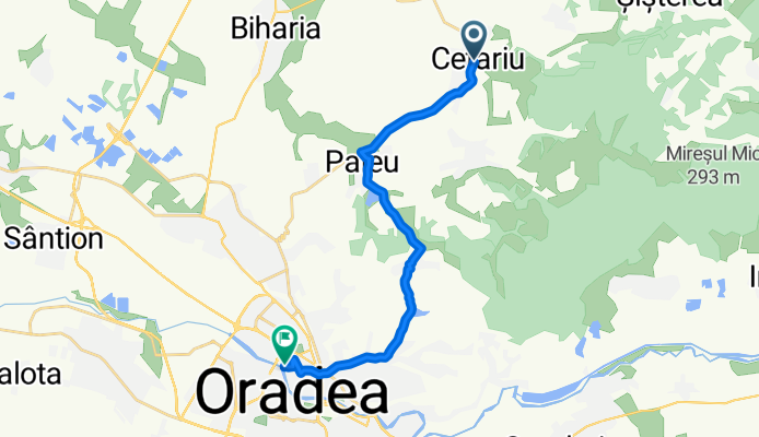 DJ767F, Cetariu to Strada B. P. Hașdeu, Oradea