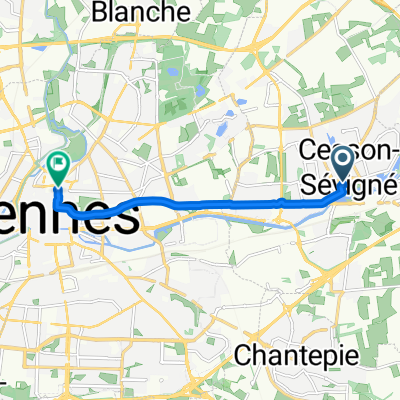 Rue Saint-Martin, Cesson-Sévigné à Rennes