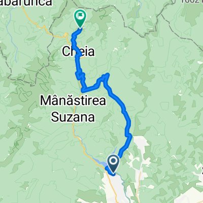 Route to Cabana Șilva, Muntele Rosu, Ciucas