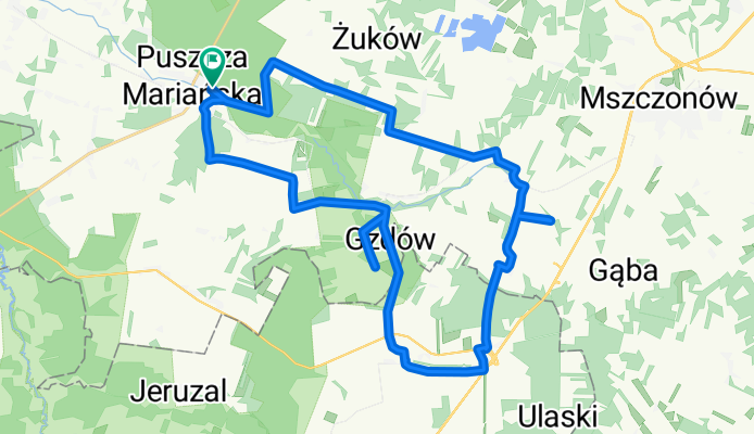 Króla J Sobieskiego, Puszcza Mariańska do Króla J Sobieskiego, Puszcza Mariańska