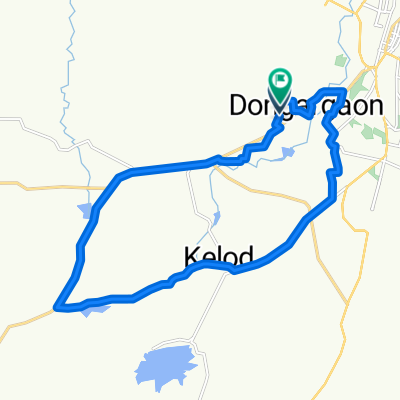India to gawli palasiya