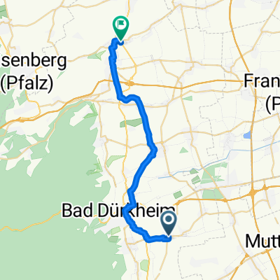 lavendelfeld von Friedelsheim