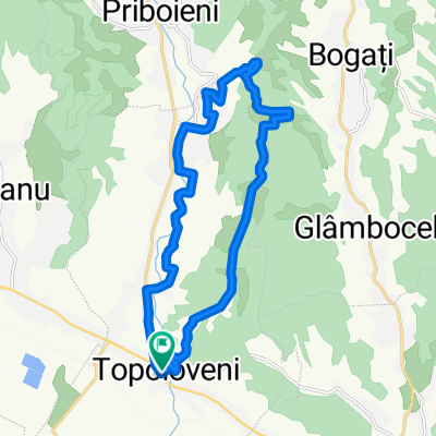 Topoloveni Summer Tour