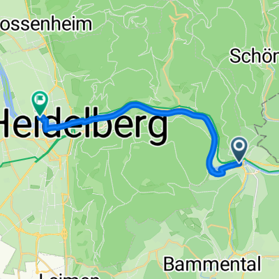 Falltorstraße nach Im Neuenheimer Feld 130/1