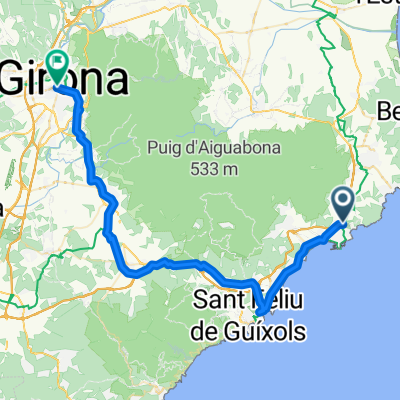 Carrer d' Àngel Guimerà to Avinguda de Sant Narcís