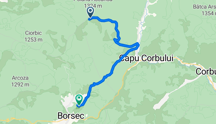 Vf Poiana Ascunsa -Borsec pe nemarcat 47.025, 25.579 to 46.971, 25.568