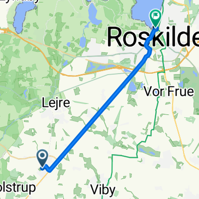 Roskilde, Vikingeskibmuseet