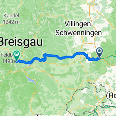 Tour 6 = Geisingen - Hinterzarten