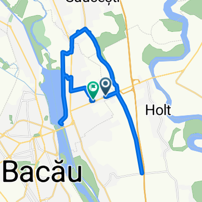 Calea Bârladului, Letea Veche to Calea Bârladului, Letea Veche