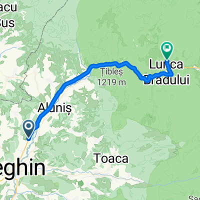 DN15, Brincovenesti to Lunca Bradului