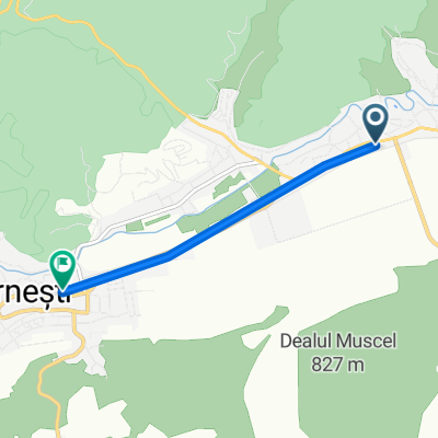 Route to Zărnești