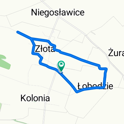 H Sienkiewicza, Złota do H Sienkiewicza, Złota