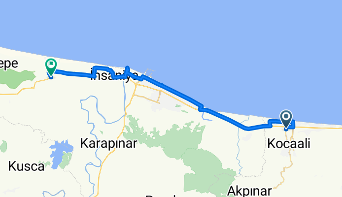 acarlar