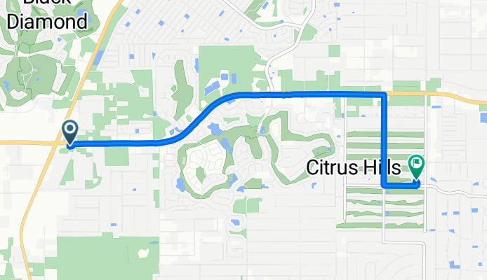W Norvell Bryant Hwy, Lecanto to E Hartford St, Hernando