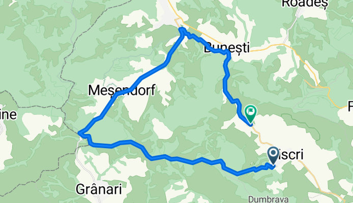 Strada Principală, Bunesti to DJ104L, Bunesti