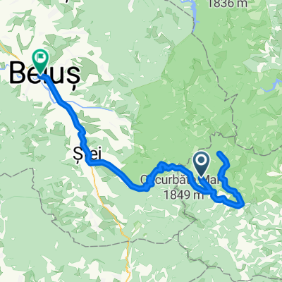 arieșeni-casa de piatră