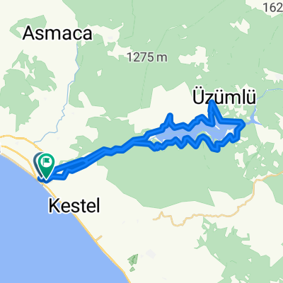 Route in Alanya