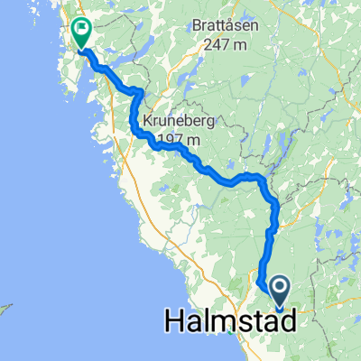 simlång - Kungsbacka-tåg- sinlång