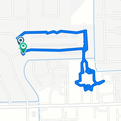 Dog walk