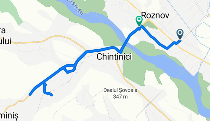 Strada Gutuiului to Strada Libertății