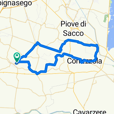 codevigo runde
