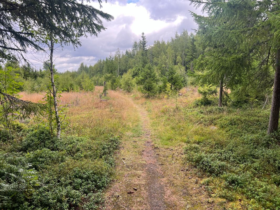 Josefsbergsrundan med Hålsjö