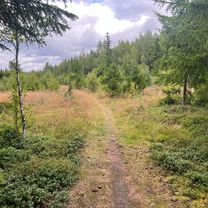 Josefsbergsrundan med Hålsjö